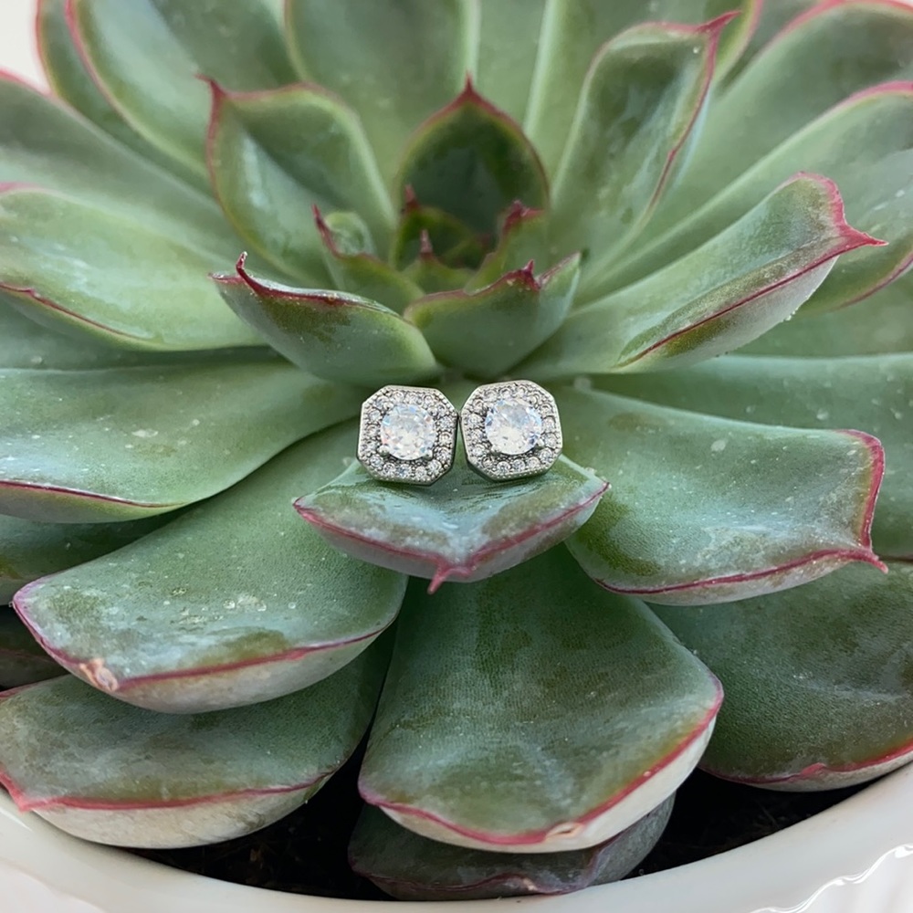 ADORNIA White Rhodium Plated Swarovski Crystal Earrings